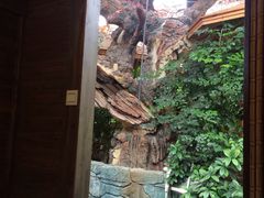 -江天生态园餐厅