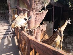 -长鹿旅游休博园