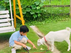 -前小桔亲子创意农场·草莓采摘·露营烧烤