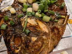 鲷鱼-野火鲜货烧烤(河边小院店)
