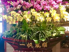 -顺联广场(陈村店)