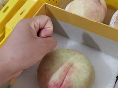 -老袁家蜜桃农场·阳山水蜜桃