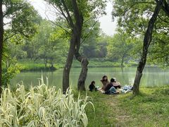 -西溪国家湿地公园