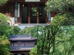 -虎跑公园