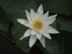 -长广溪湿地公园