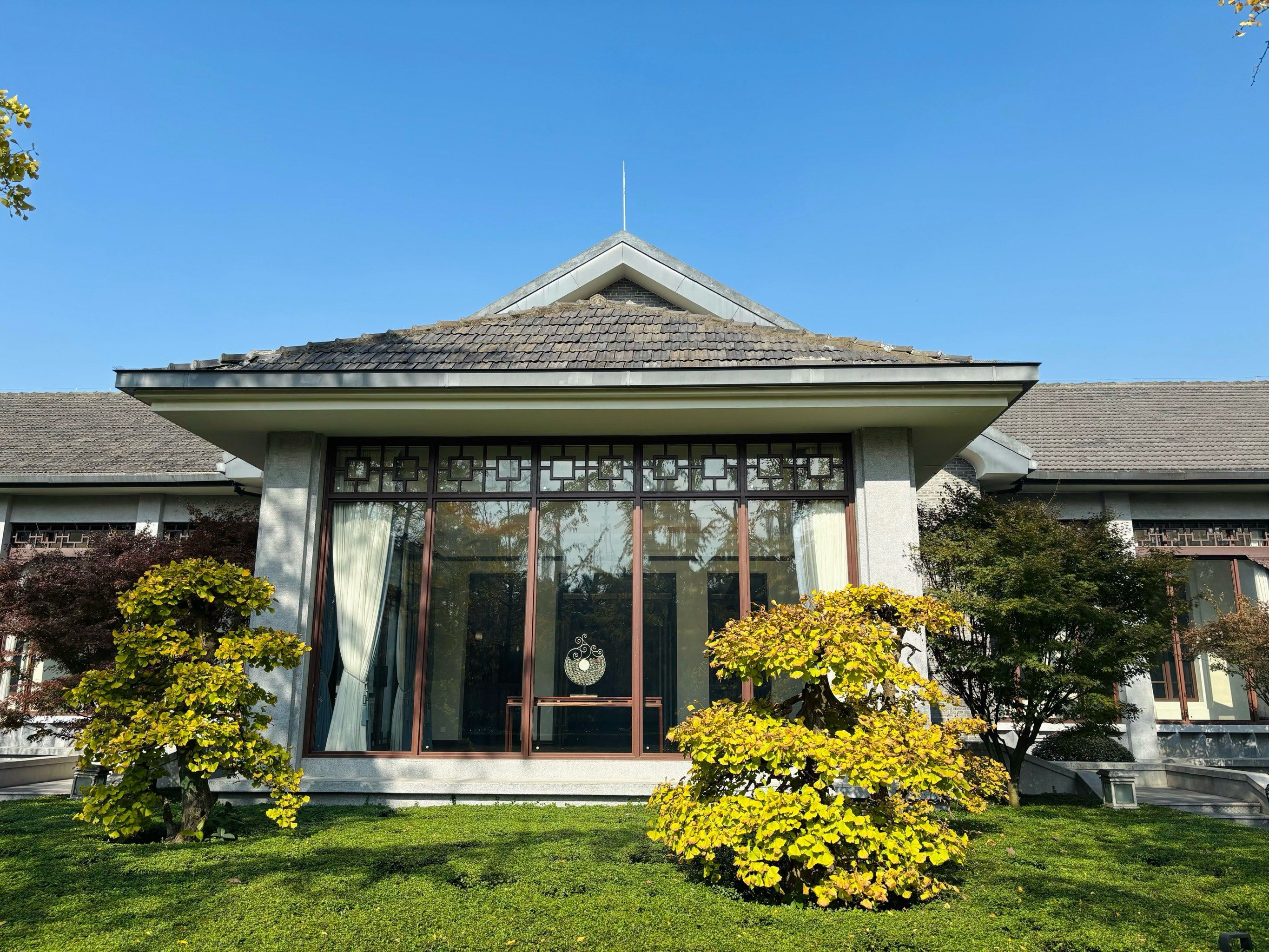 国宾馆赏银杏,走起