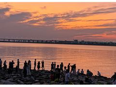 -宝安西湾红树林湿地公园