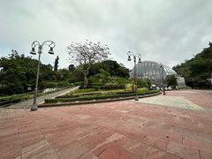 -石排湾郊野公园