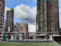 -油麻地果栏