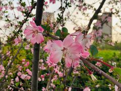 -经纬·泓汇地标家园