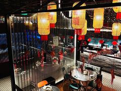 -粤凤佬