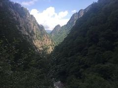 -青峰峡国家森林公园