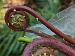 -水濂山森林公园