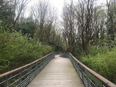 -西湖风景区-江洋畈生态公园