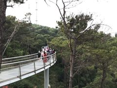 -狐尾山公园