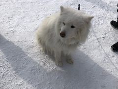 -长白山万达国际滑雪场