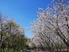 -白塘生态植物园