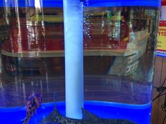 -解家河南菜(商鼎路店)