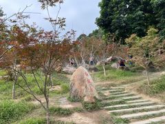 -广州市帽峰山景区