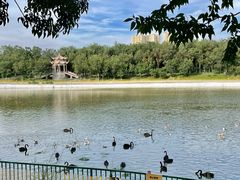 -水上乐园·欢乐世界