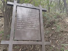 -阳台山自然风景区