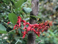 -神光山国家森林公园