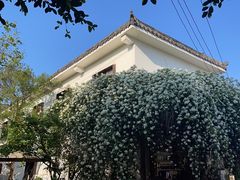 -悦哉·派对·草坪婚礼·围炉煮茶(三圣乡店)