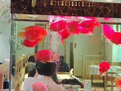 -原鄉本味 楚菜 丹江口鱼(北苑店)