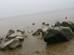 -深圳湾公园(南山区)