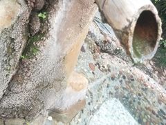 -天赐温泉