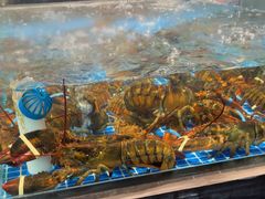 -江南婆婆(车墩店)