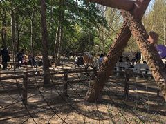 -北京麋鹿生态实验中心