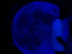 -重庆梵高星空艺术馆(解放碑旗舰店)