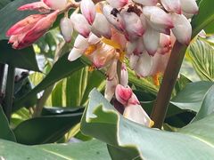 -广州神农草堂中医药博物馆