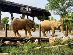 -上海野生动物园