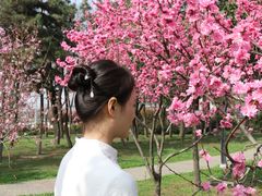 -洨河生态公园