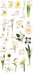 -红丝高端婚礼中心(旗舰店)