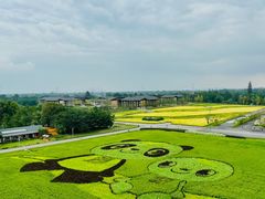 -中国天府农业博览园