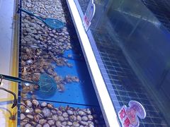 -聚盛源蒸汽海鲜火锅烤肉自助(巨川金海岸购物广场店)