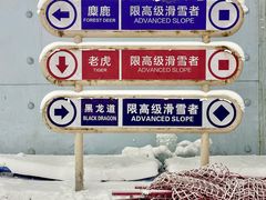 -哈尔滨热雪奇迹