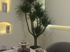 -艾通康缘艾灸.疼痛.睡眠养生馆(凤凰城店)
