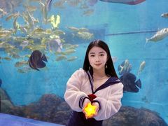-重庆欢乐海底世界