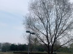 -西安浐灞国家湿地公园