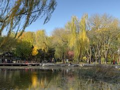 -玲珑塔公园