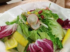 -大鸭梨烤鸭店(花园村店)