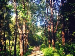 -碓臼峪自然风景区