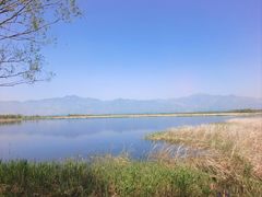 -野鸭湖国家湿地公园