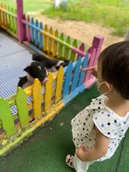 -萌宠亲子动物乐园(槐房万达店)