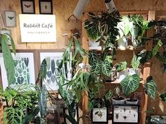 -Rabbit Cafe私房西餐甜点咖啡(栖霞路店)