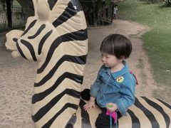 -泉州海丝野生动物世界